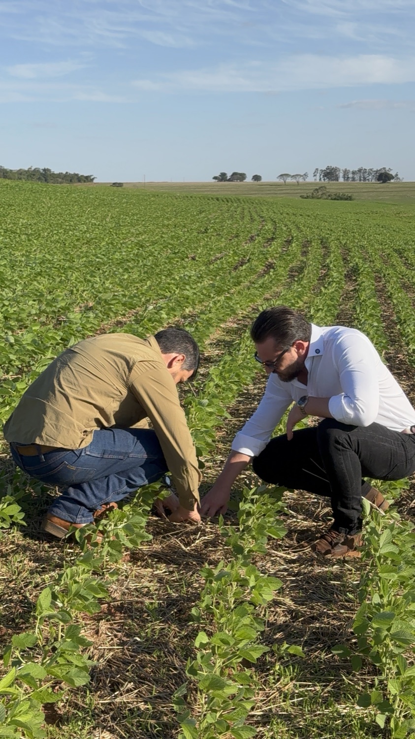 Advogado e produtor rural analisando a lavoura